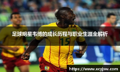 中国·BB贝博艾弗森